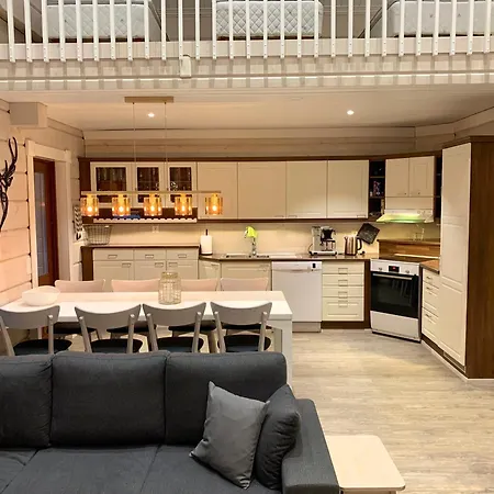 Levinkruunu A Visit Levi