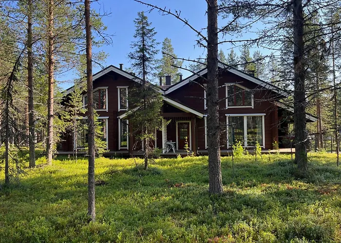 Levinkruunu A Visit * Levi