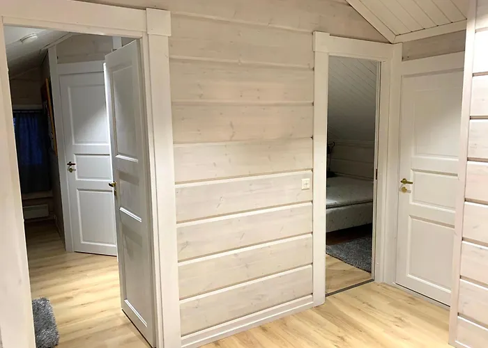 Levinkruunu A Visit * Levi