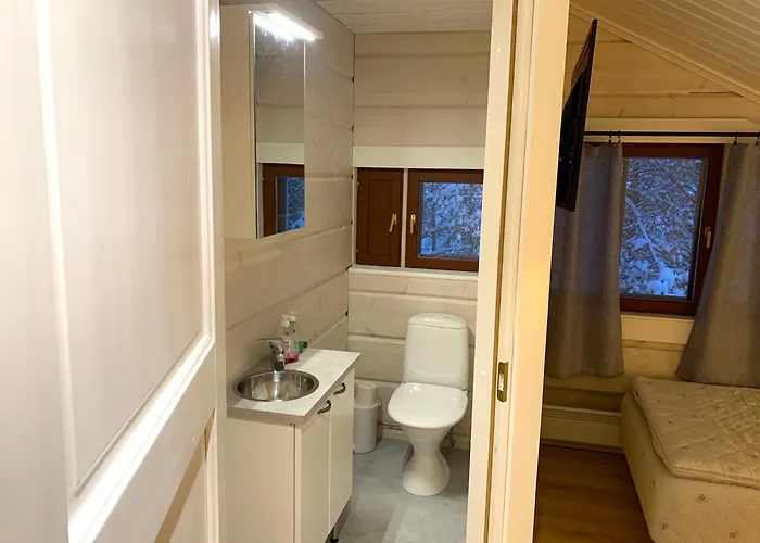 Levinkruunu A Visit *